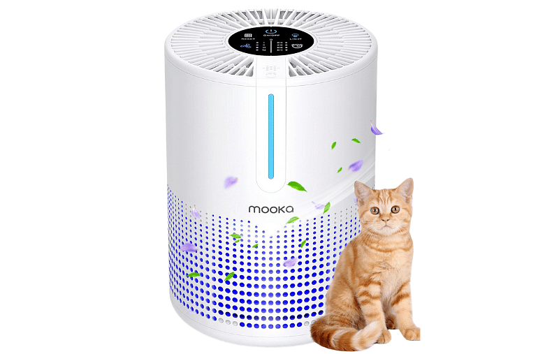 how to, amazon, how to choose the best air purifier for your home in 2024